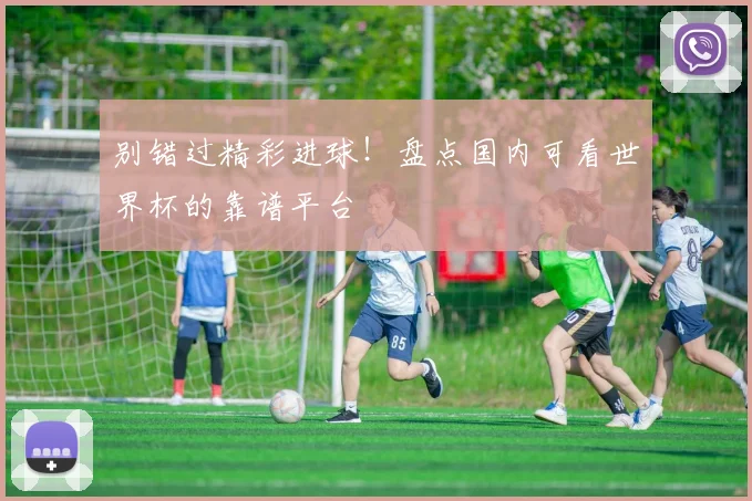 别错过精彩进球！盘点国内可看世界杯的靠谱平台