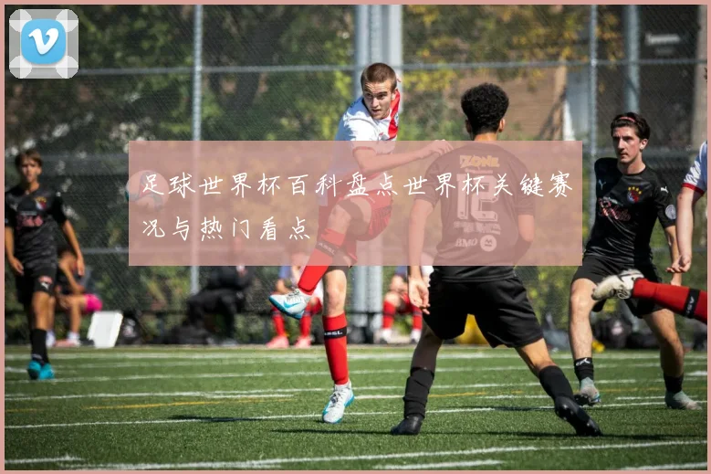 足球世界杯百科盘点世界杯关键赛况与热门看点