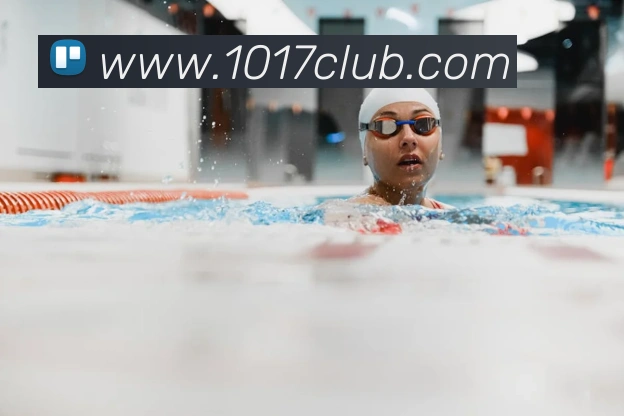 在线买世界杯平台发展历程